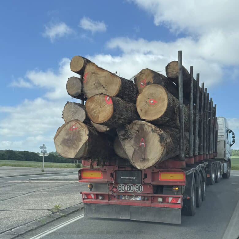 Transport de troncs de bois depuis la forêt vers l'usine BerryAlloc