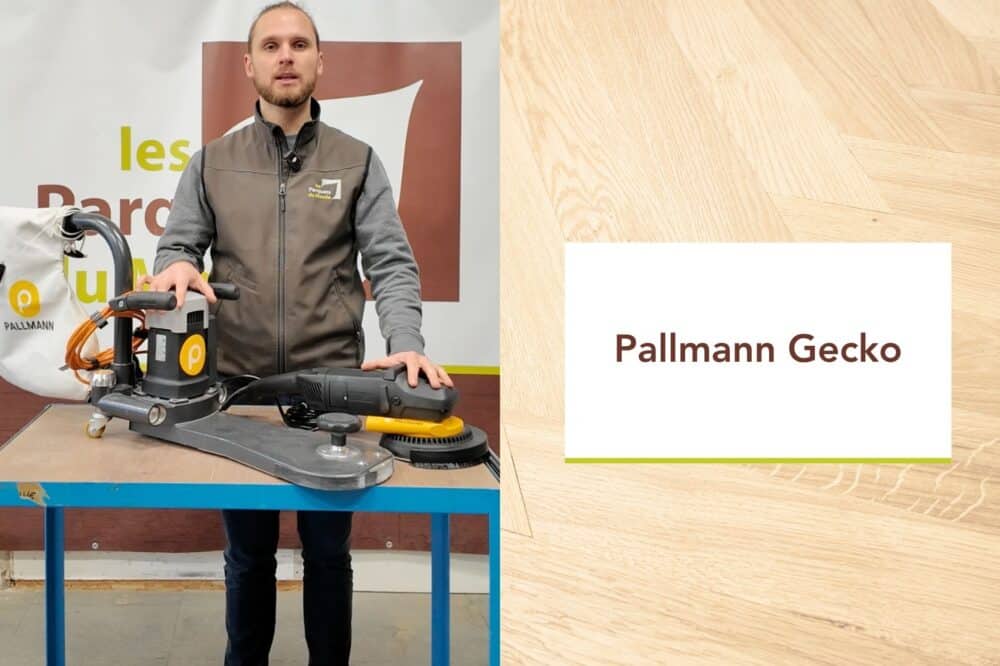 Tuto DIY-PallmannGecko
